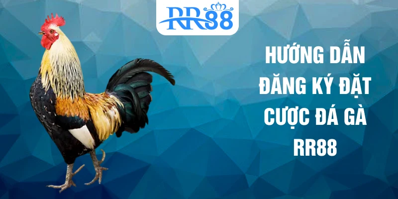 Hướng dẫn đăng ký đặt cược đá gà RR88
